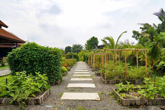 Indulge in Authentic Thai Flavors and Serene Organic Farm (Full Day Course) - Convenient Pick-up and Drop-off Service