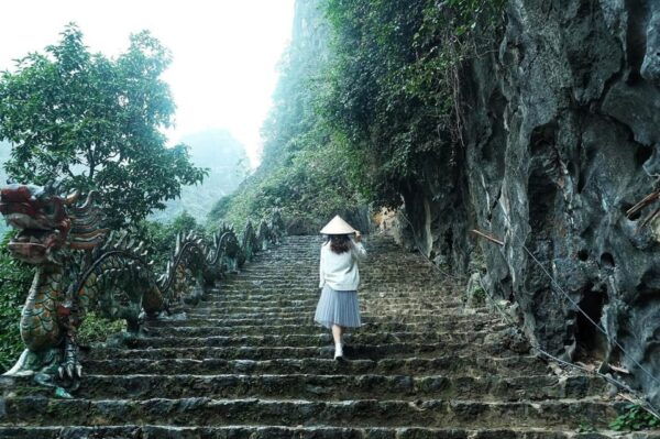 Indulge in Hoa Lu - Tam Coc/Trang An - Mua Cave - Booking and Cancellation Policy