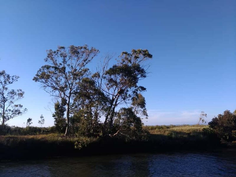 Industry or Nature Boat Tour | Speedboat - Good To Know