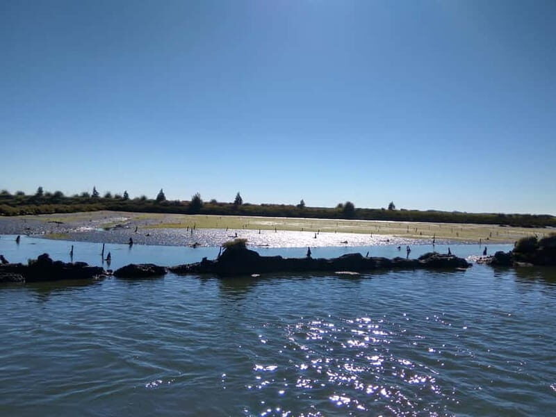 Industry or Nature Boat Tour | Speedboat - Exploring the Ria de Aveiro: What to Expect on the Speedboat Tour