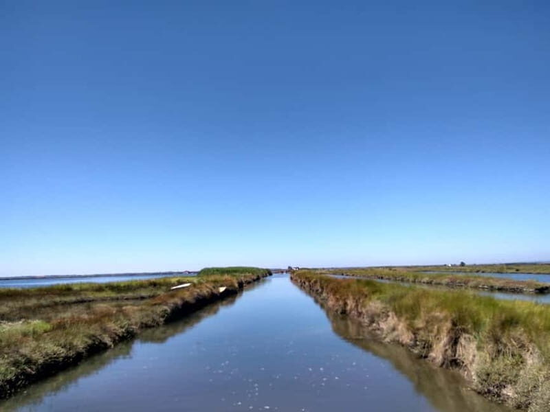 Industry or Nature Boat Tour | Speedboat - The Practical Details