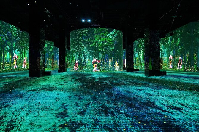 Infinity Des Lumières Ticket With a Private Transfer From Dubai - Common Questions