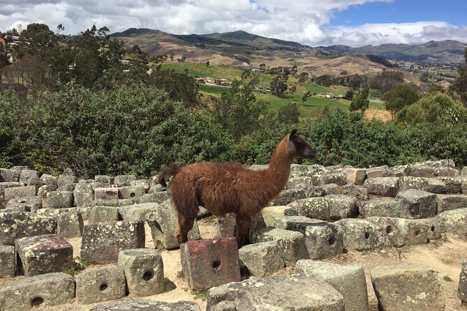 Ingapirca Ruins & Inca Mountain Face Tour From Cuenca With Small Group - Pricing and Booking Details