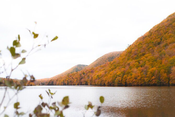 Ingonish and Keltic Lodge 6 Hours Cabot Trail Tour - Good To Know