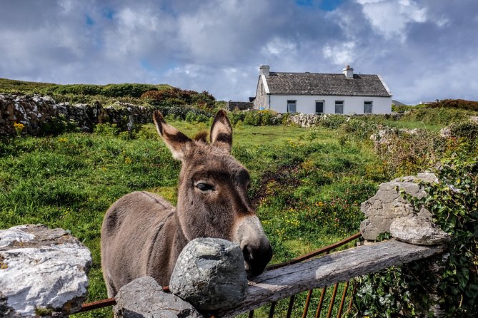 Inis Mór (Aran Islands) Day Trip: Return Ferry From Rossaveel, Galway - Overview and Booking Information