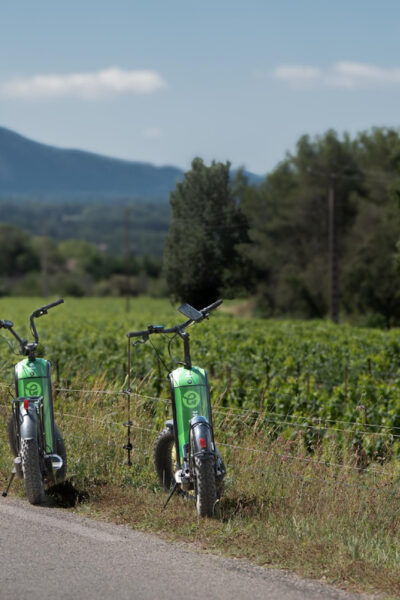 Initiation EXPLORA TROTT - Questions You May Have