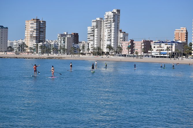 Initiation or Journey in Stand up Paddel (Sup) in El Campello (Alicante) - Activity Options