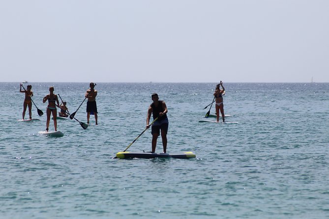 Initiation or Journey in Stand up Paddel (Sup) in El Campello (Alicante) - What To Expect
