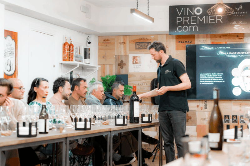 Initiation Tasting to the World of Wine + Tasting of Iberian Cured Meats - Good To Know