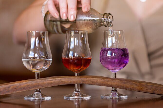 Ink Gin Experience - An In-Depth Look at the Ink Gin Experience