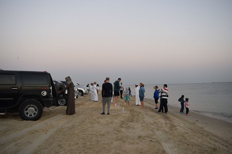 Inland Sea Day Tour from Doha - The ride south from Doha sets the scene