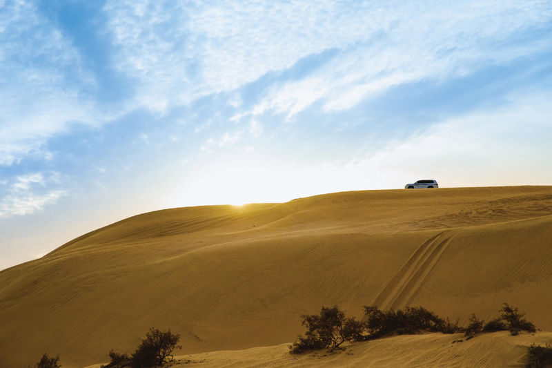 Inland Sea Day Tour from Doha - What the price buys, and what it doesn’t