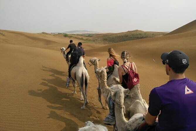 Inner Mongolia Hohhot 1Day Kubuqi Desert (Whistling Dune Bay)Tour - Good To Know