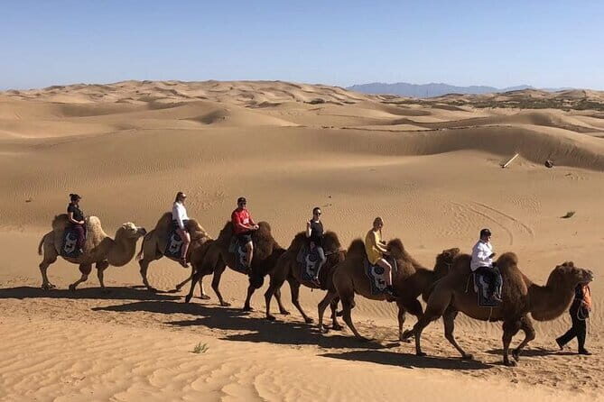 Inner Mongolia Hohhot 1Day Kubuqi Desert (Whistling Dune Bay)Tour - Authentic Experiences from Past Travelers