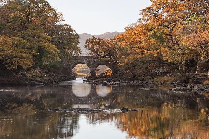 Innisfallen Island - Enjoy the Scenery & History of the Lakes of Killarney. - Tour Highlights