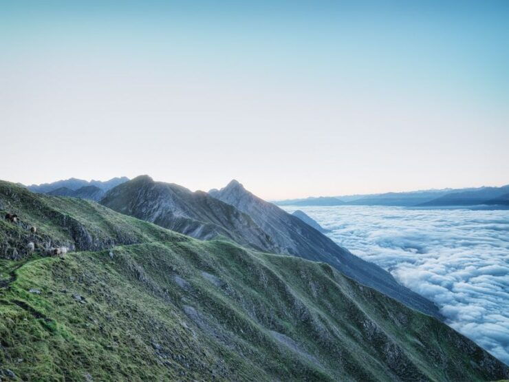 Innsbruck: Alpenzoo & Top of Innsbruck Combination Ticket - Ticket Details