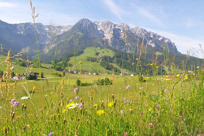 Innsbruck and Swarovski Crystal World Private Tour From Salzburg - Reviews and Ratings