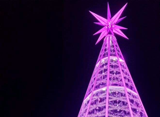 Innsbruck: Christmas Tour With a Licensed Guide - Directions