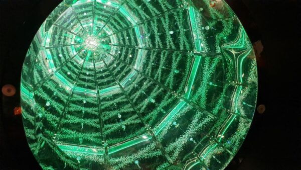 Innsbruck: Christmas Tour With a Licensed Guide - The Sum Up