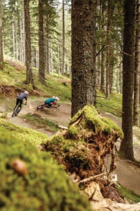 Innsbruck: Downhill Guiding - Bike Park Innsbruck - Pricing and Booking