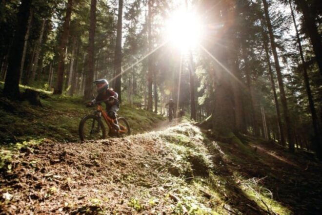 Innsbruck: Downhill Guiding - Bike Park Innsbruck - Guided Experience
