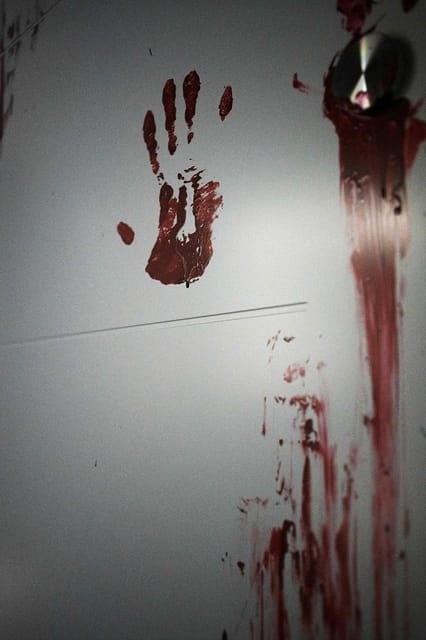 Innsbruck: Interactive Escape Room Adventures - The Experience of the Guides