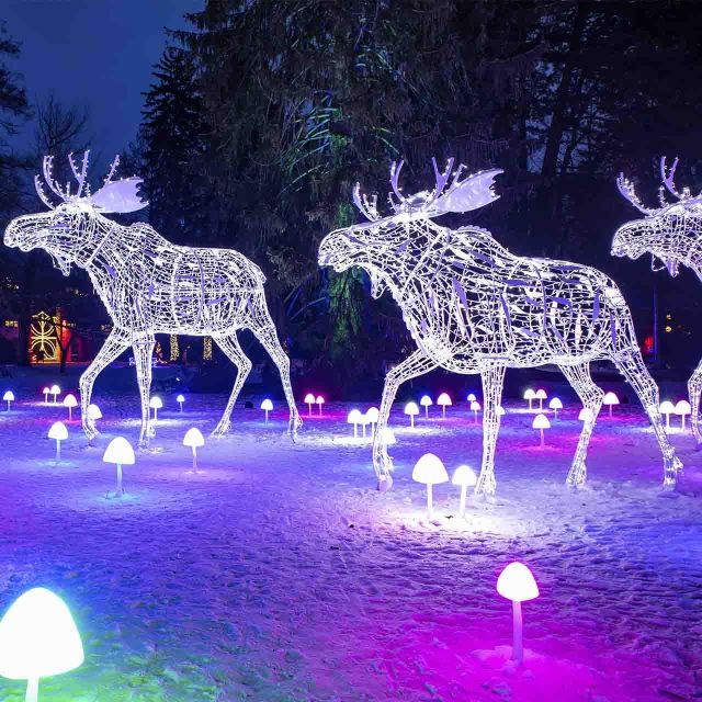 Innsbruck: Lumagica Light Park Entry Ticket - Experience