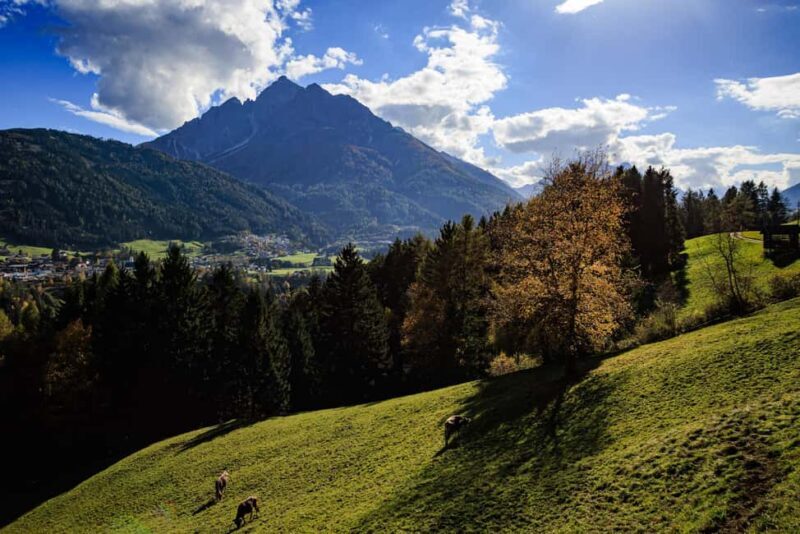 Innsbruck: Panoramic hike across the Telfer Wiesen - Final Thoughts