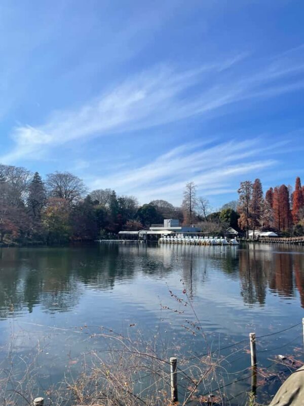 Inokashira Park: Guided Nature & Hidden Gems Walk - Good To Know