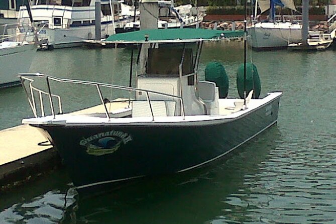 Inshore Fishing 4-Hour Puerto Vallarta Charter - Traveler Photos and Reviews
