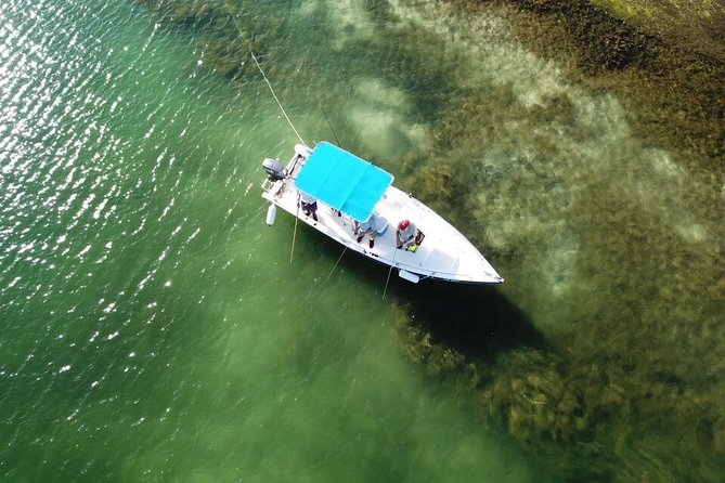 Inshore & Fly Fishing Punta Cana Private Charter at Marina Cap Cana - Overview of the Experience
