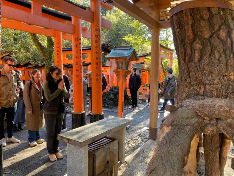 Inside of Fushimi Inari - exploring and lunch with locals - Photo Opportunities and Local Interactions