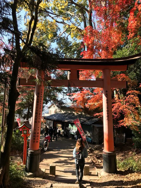 Inside of Fushimi Inari - exploring and lunch with locals - Practical Details and Tips