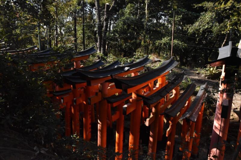 Inside of Fushimi Inari - exploring and lunch with locals - FAQ
