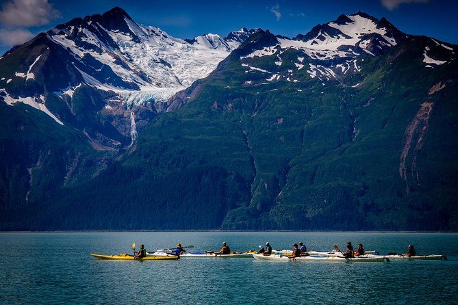 Inside Passage Sea Kayaking in Haines - Why You Should Consider This Tour
