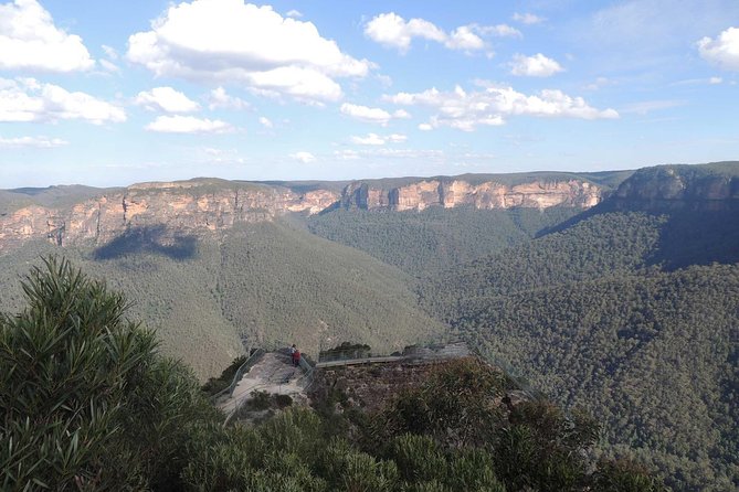 Inside the Greater Blue Mountains World Heritage - A Private Wildlife Safari Overnight - Reviews