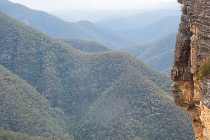 Inside the Greater Blue Mountains World Heritage - A Private Wildlife Safari Overnight - The Sum Up