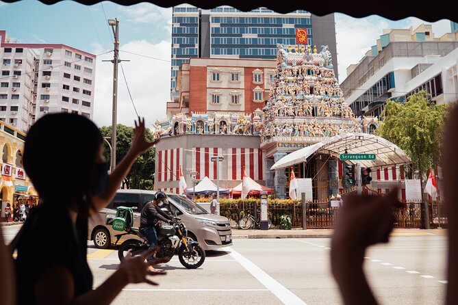 Insider Singapore: Private Customised Full Day Tour - Pricing and Group Size