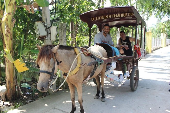 Insight Mekong Delta 1 Day Private Tour - Reviews and Ratings of the Tour