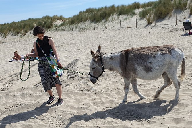 Inspirational Nature Walking Tour With Donkeys in the Hague - Tour Experience Highlights