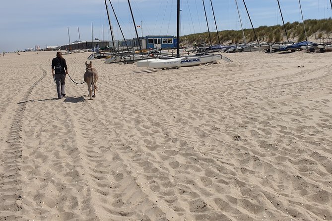 Inspirational Nature Walking Tour With Donkeys in the Hague - Common Questions
