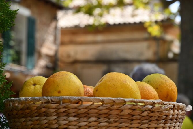 Instafamous Group Tour: Palma and West Coast of Mallorca - Group Tour Benefits