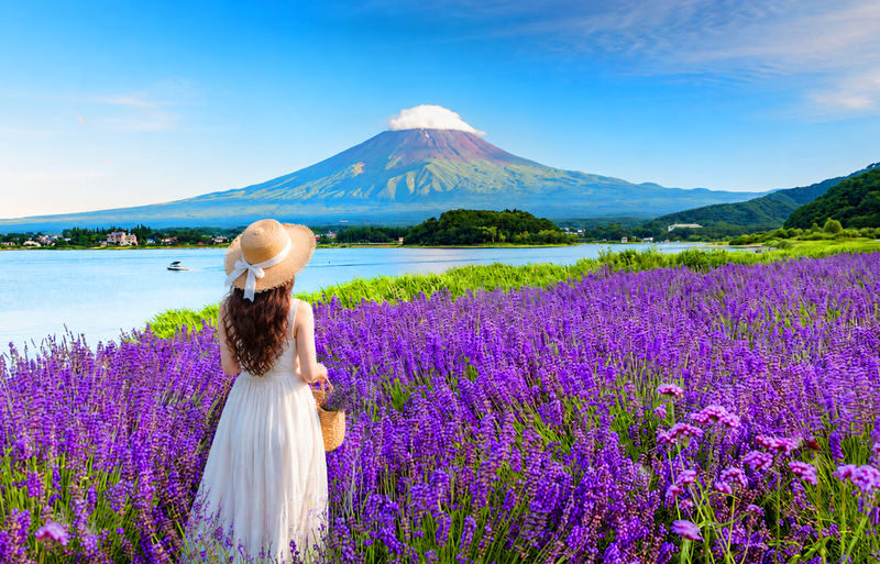 Instagram-worthy Mt. Fuji Spots & Kawaguchikos Four Seasons Flower Tour (with Japanese Rice Cake Gift) | Departure from Tokyo/Shinjuku - A Fuji day built around the view
