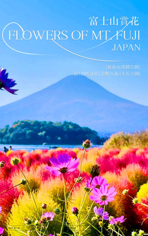 Instagram-worthy Mt. Fuji Spots & Kawaguchikos Four Seasons Flower Tour (with Japanese Rice Cake Gift) | Departure from Tokyo/Shinjuku - Climbing to Chureito Pagoda