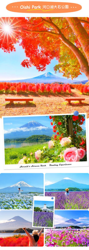 Instagram-worthy Mt. Fuji Spots & Kawaguchikos Four Seasons Flower Tour (with Japanese Rice Cake Gift) | Departure from Tokyo/Shinjuku - Choosing the right seasonal stop