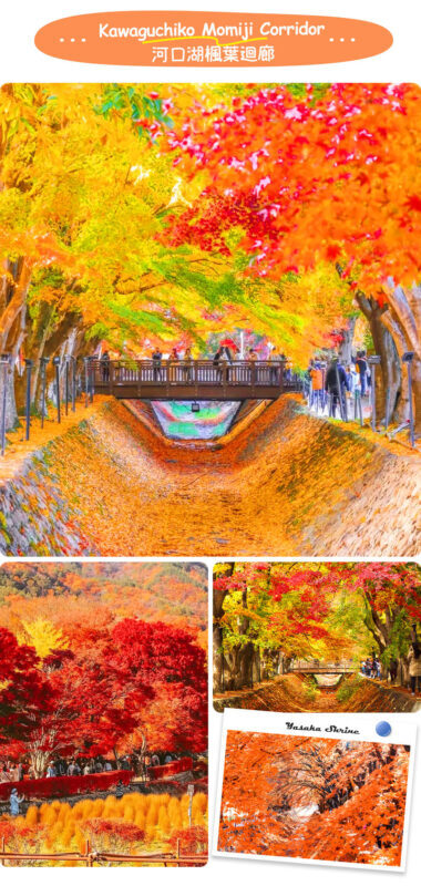 Instagram-worthy Mt. Fuji Spots & Kawaguchikos Four Seasons Flower Tour (with Japanese Rice Cake Gift) | Departure from Tokyo/Shinjuku - A brief Lawson photo stop