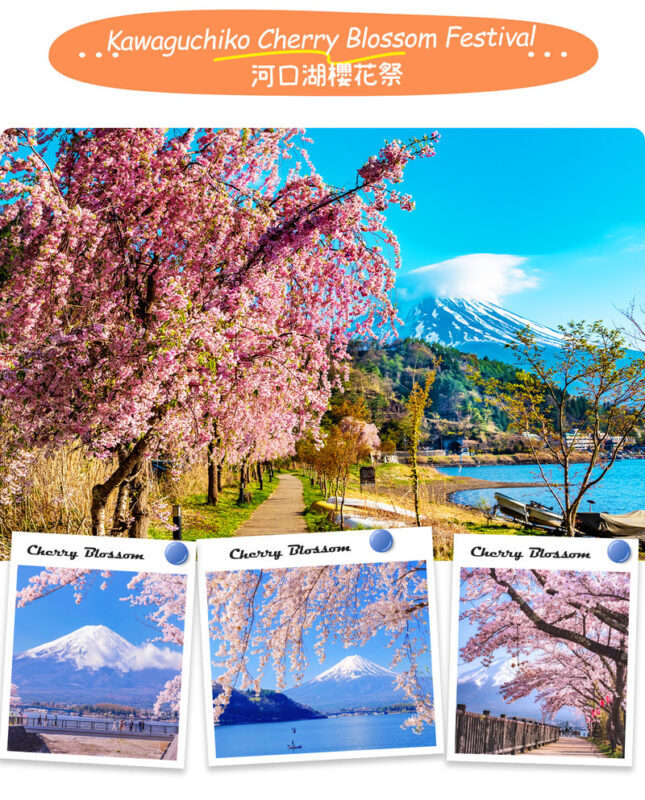 Instagram-worthy Mt. Fuji Spots & Kawaguchikos Four Seasons Flower Tour (with Japanese Rice Cake Gift) | Departure from Tokyo/Shinjuku - What the schedule feels like in practice