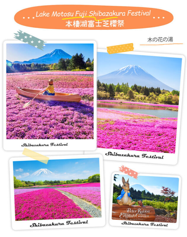 Instagram-worthy Mt. Fuji Spots & Kawaguchikos Four Seasons Flower Tour (with Japanese Rice Cake Gift) | Departure from Tokyo/Shinjuku - The strengths and compromises