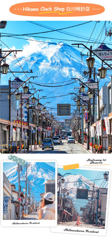 Instagram-worthy Mt. Fuji Spots & Kawaguchikos Four Seasons Flower Tour (with Japanese Rice Cake Gift) | Departure from Tokyo/Shinjuku - Who should book this trip