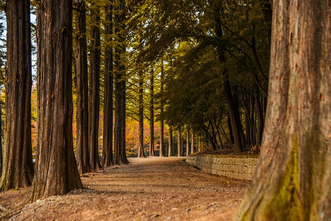 Instagrammable Autumn Foliage Tour From Seoul - Exploring Parks and Gardens for Autumn Foliage